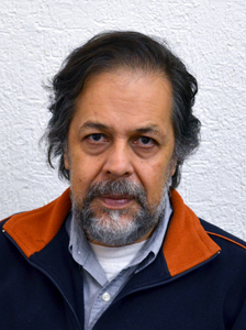 Dr. Mario Enrique Favila Castillo Secretario de Posgrado